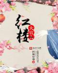 红楼大官人 虎臣 红楼大官人 虎臣