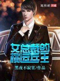 女总裁的桃运兵王百度百科 女总裁的桃运兵王百度百科