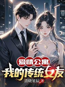 爱情公寓之我的爱情公寓 爱情公寓之我的爱情公寓