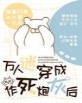 万人迷穿成作死炮灰后剧透