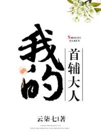 我的首辅大人 我的首辅大人