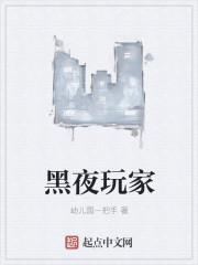 黑夜玩家 黑夜玩家