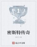 密斯特传奇 密斯特传奇