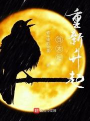 当太阳重新升起 当太阳重新升起